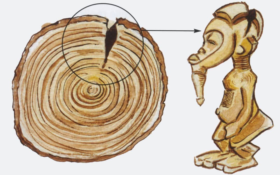 Les méthodes de datation archéologique : la dendrochronologie
