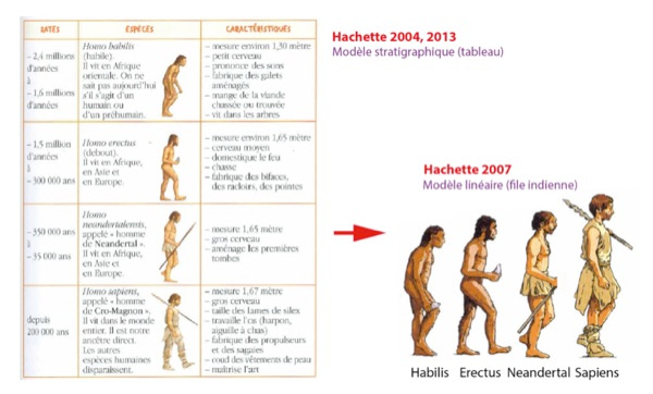 Évolution du traitement de l’évolution humaine chez Hachette